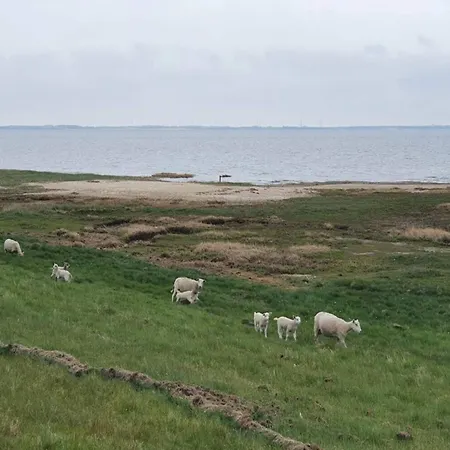 6 Person In Romo-by Traum Ferienhaus Sønderby